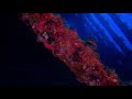 SS Carnatic Wreck Dive 4K