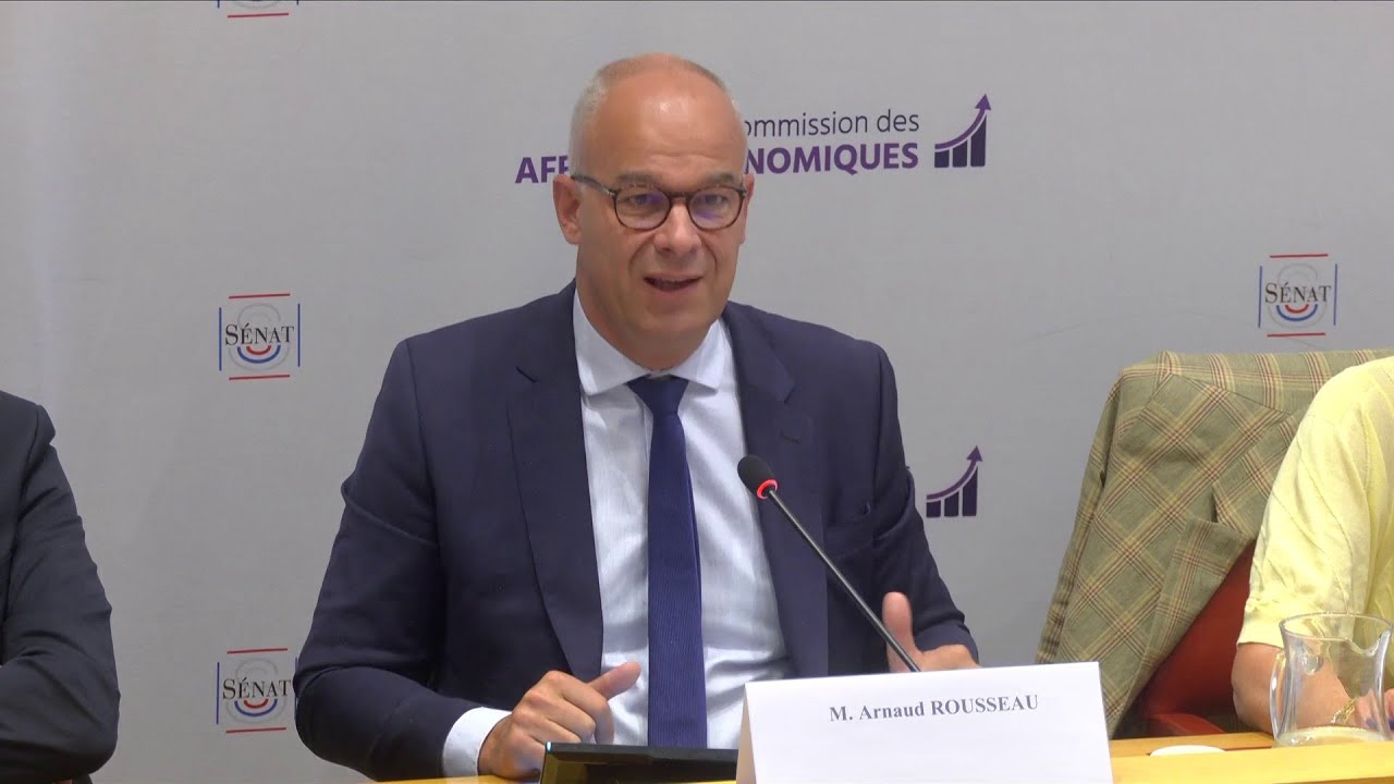 Prédation du loup : « La FNSEA ne serait pas gênée par le pa