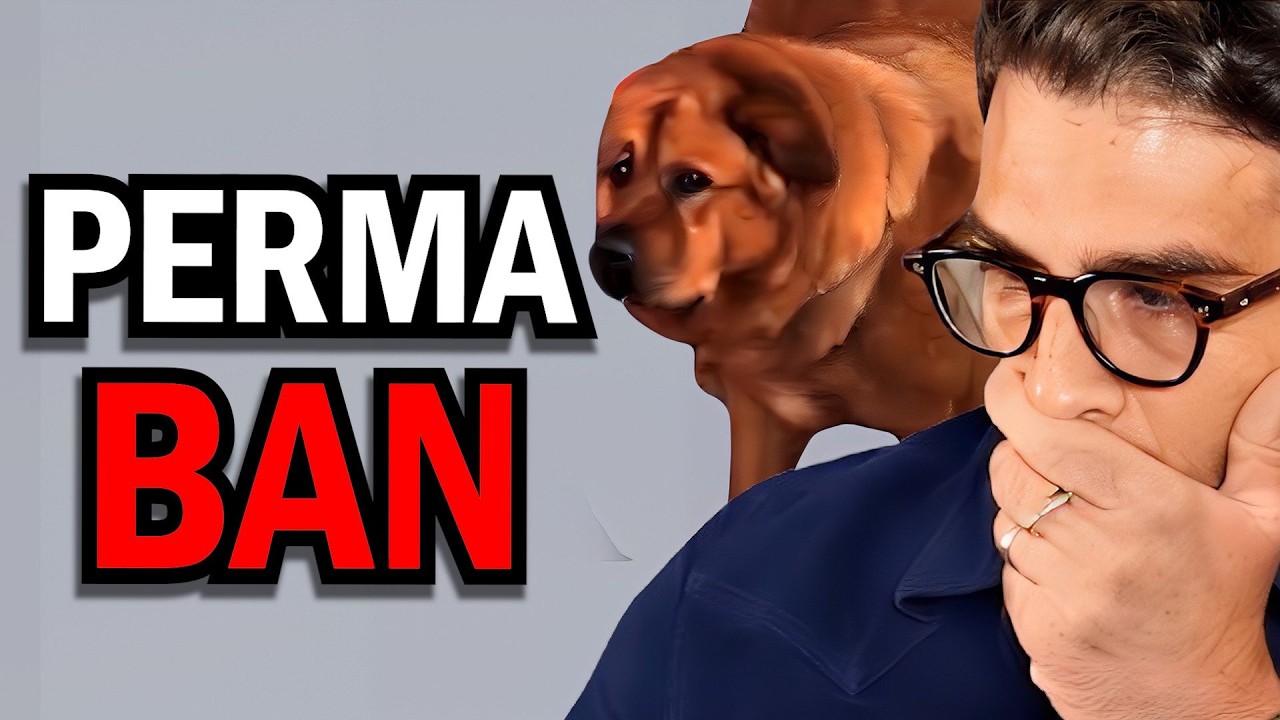 Hasan Just Responded In The Worst Way...