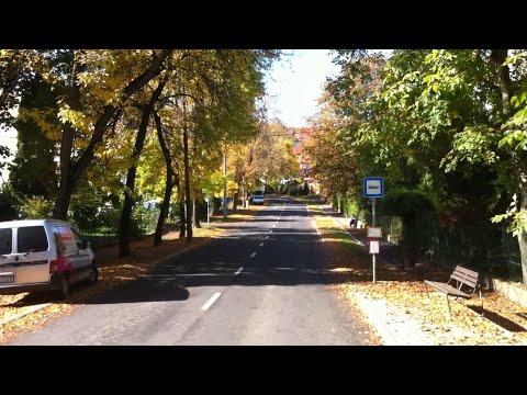 Eger 17-es járat; TESCO áruház - Vasútállomás