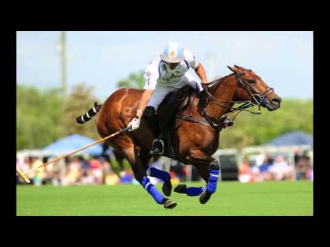 Polo - Florida Circuit - 2013 Highlights - USPA Polo Development LLC