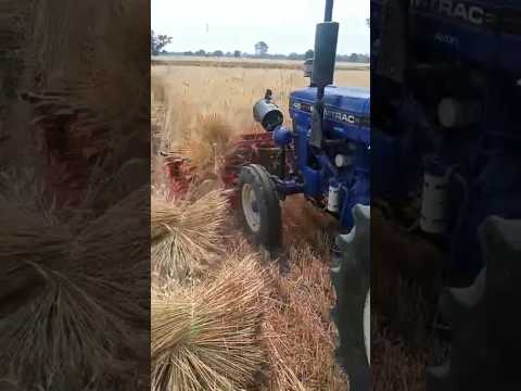 Reaper Binder Wheat Harvesting Machine