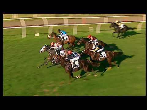 Napoli Galoppo 02/02/2021 - 4ª corsa