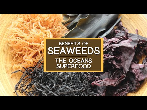 The Nutritional Benefits of Seaweed, The Ocean's Superfood