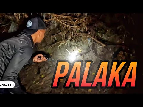 P1 - Nangilaw ng Palaka - EP1544