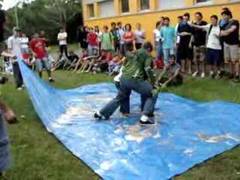 24 x um bixo -  /08 Física UFRGS