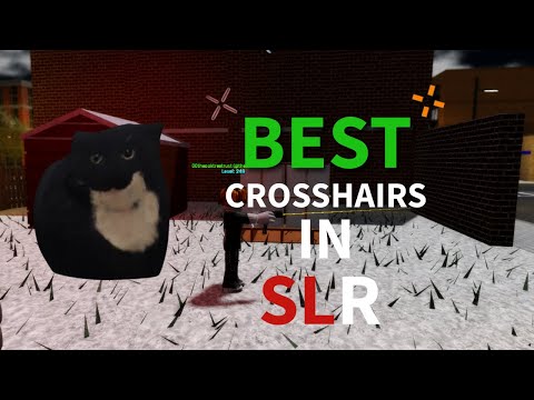BEST CROSSHAIRS IN SLR