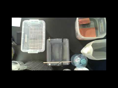 2017 05 26 PM Public Teaching in Hungarian - Nyilvános oktatás magyar nyelven