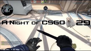 "Mmm, ground Chuck": A Night of CSGO #29