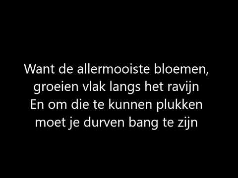Veldhuis en Kemper - Ravijn -  Lyrics