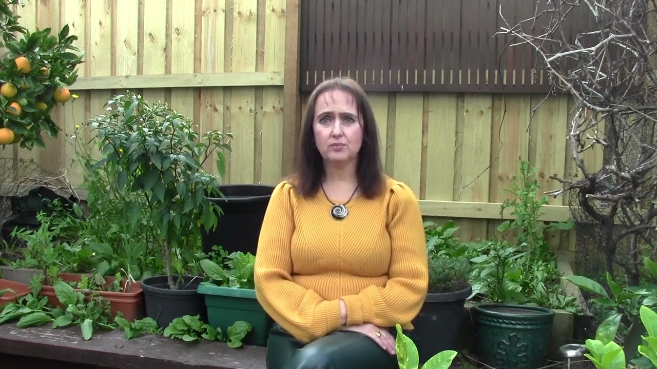 What is Lifestyle Medicine?