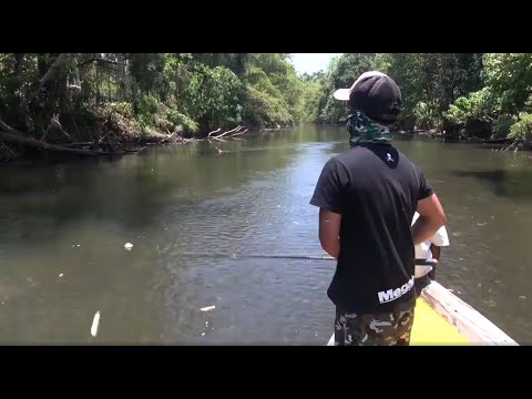 Incredible casting skills by Gong Lei