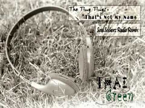 The Ting Tings - That's Not My Name [Soul Seekerz Remix]