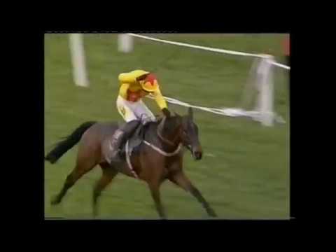 Top 20 Best Chasers from 2000 - 2009