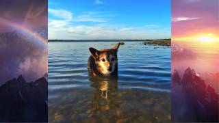 Over The Rainbow (Guitar instrumental)