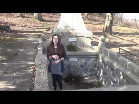 OS Petar Lekovic Savinac