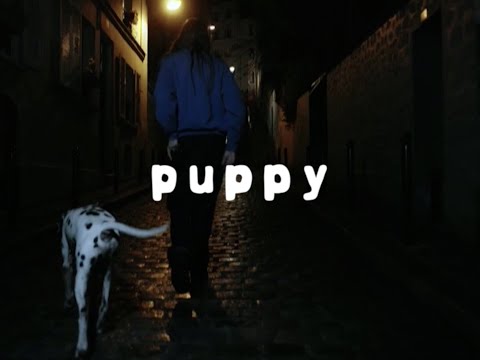 Charlotte Cardin - Puppy [Lyric Video]