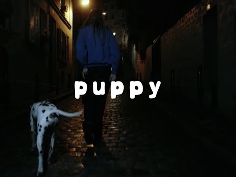 Video thumbnail for Puppy