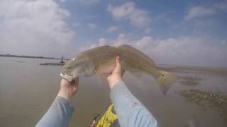 Skinny Water Winter Redfish Bonanza - Kayak Fishing the Texas Coast