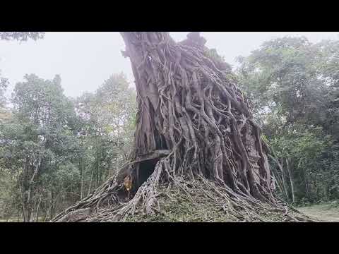 Por favor, visite o templo