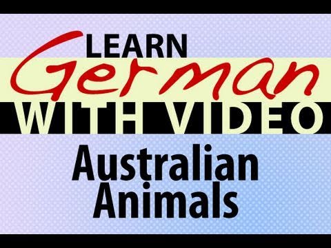 Learn German with Video Common Animals