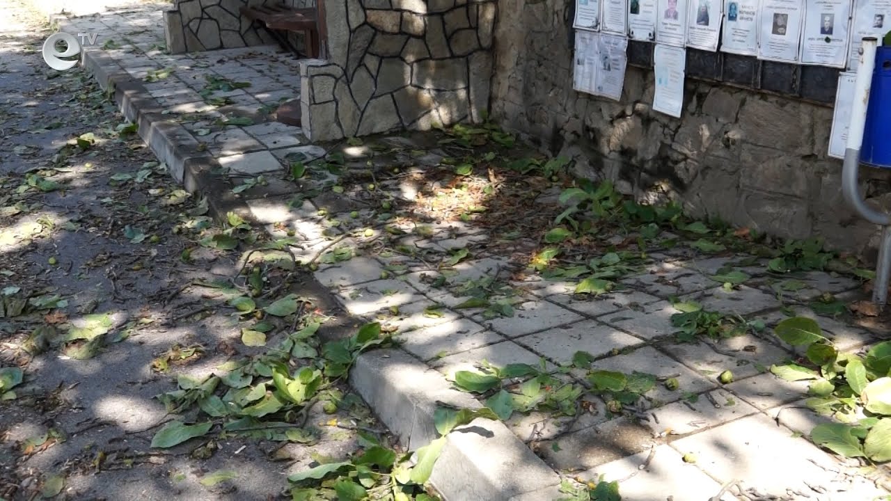 В Смолянско описват щетите, нанесени от пороя и градушката