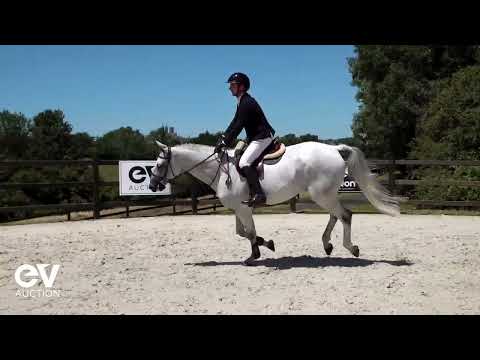 Jump de Talma SAUT