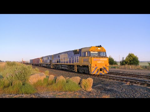 NR52 "R U OK?" Leads 3AM5 Pacific National Container Train (19/10/2022)- PoathTV Australian Railways