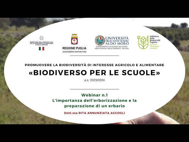 Progetto «BiodiverSO per le scuole» (a.s. 2023/2024) - Seminario n°1: Erbario e erborizzazione