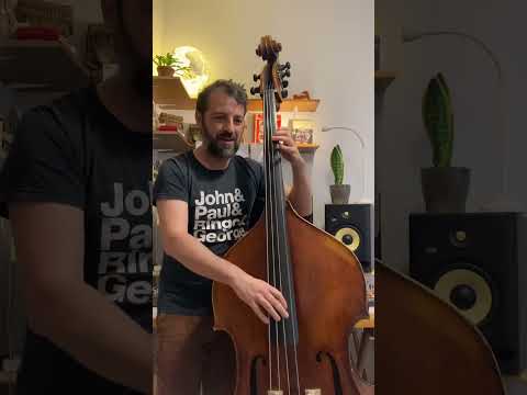 The Beatles on Double Bass | Love Me Do Cover