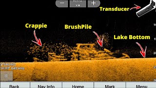 How to use Down Imaging to Find Crappie in the summer