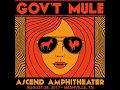 Gov't Mule - Brand New Angel (Audio Only)