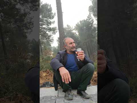 dengbej fexe muazzam bi ses