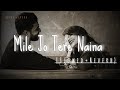 Mile Jo Tere Naina Lofi Slowed And Reverb Bollywood Hindi Song Alka Yagnik