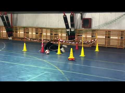 Traseu utilitar aplicativ mapn / PASCANI ,secvența de 30 sec