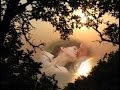 Чувства любви ( Feelings of love ) 