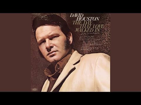 The Day That Love Walked In - David Houston