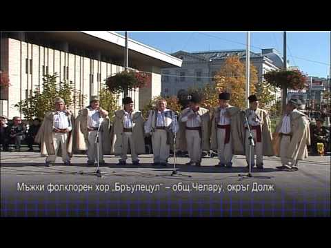 BG Corul barbatesc Celaru