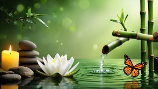 Soothing Bamboo Water Garden | Calming Nature Soundscape