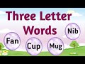 Three Letter Words | Three Letter Phonics For Kids | Learn Words