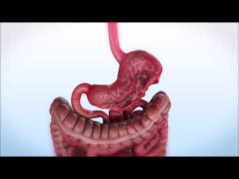 download lagu mp3 mp4 Endovitta, download lagu Endovitta gratis, unduh video klip Download Endovitta Mp3 dan Mp4 Full Gratis