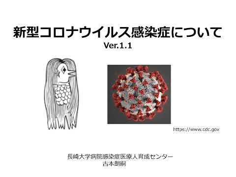 皮膚を介したコロナウイルス感染: これは実際に危険が存在する期間です
