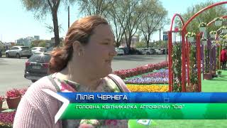 Харківським лікарням подарували 10 тисяч квітів