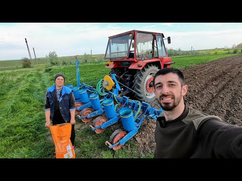 AM SEMĂNAT PORUMBUL + CURĂȚ TRACTOARELE/ PARTEA a-ll-a