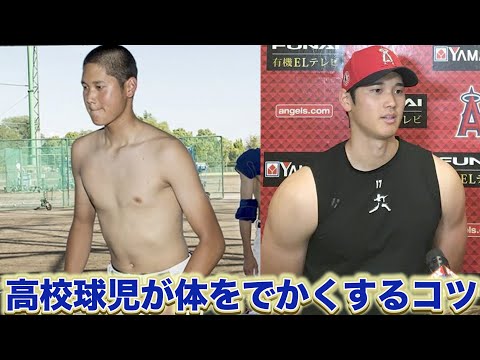 野球部が体を大きくする為の食事