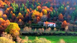 SONNY JAMES - THAT&#39;S WHY I LOVE YOU LIKE I DO