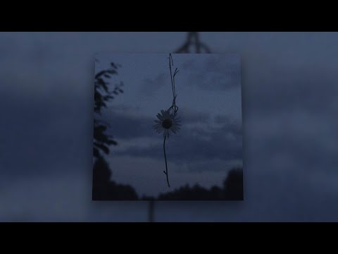 d2s1 - iwannadie [1 Hour Loop]