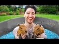I spent a day with CAPYBARAS