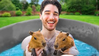 I spent a day with CAPYBARAS
