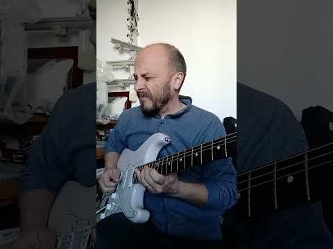 Guitar Lick n.30 - Matt Schofield style #guitarsolo #stratocaster #joeowlguitars
